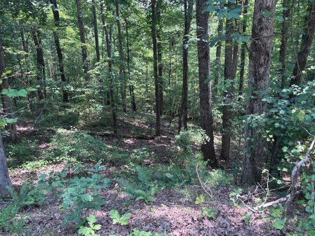 10090 Brazell Road - Photo 1