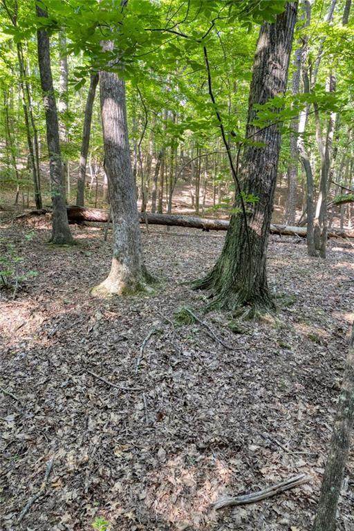 90 Cardinal Cove - Photo 1