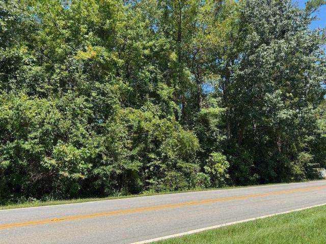 0 Bar J Road - Photo 1