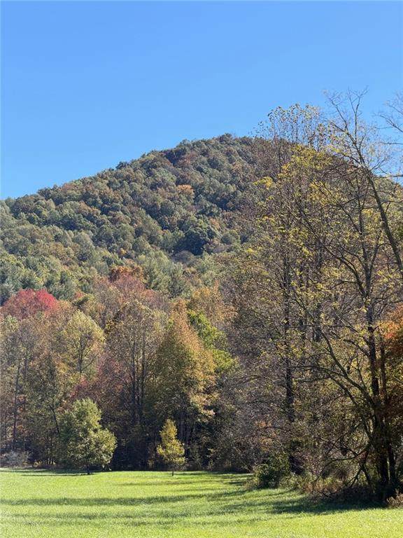 0 Old Bucktown Road - Photo 1