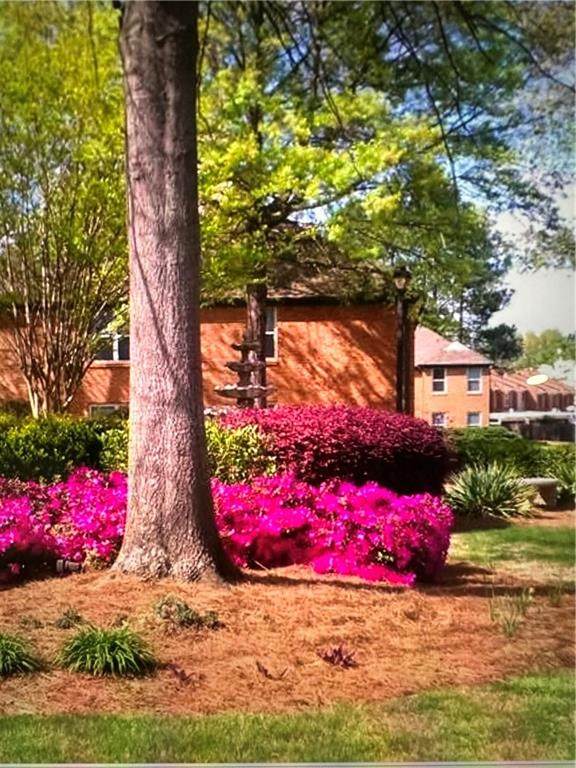 707 Beaufort Circle - Photo 1