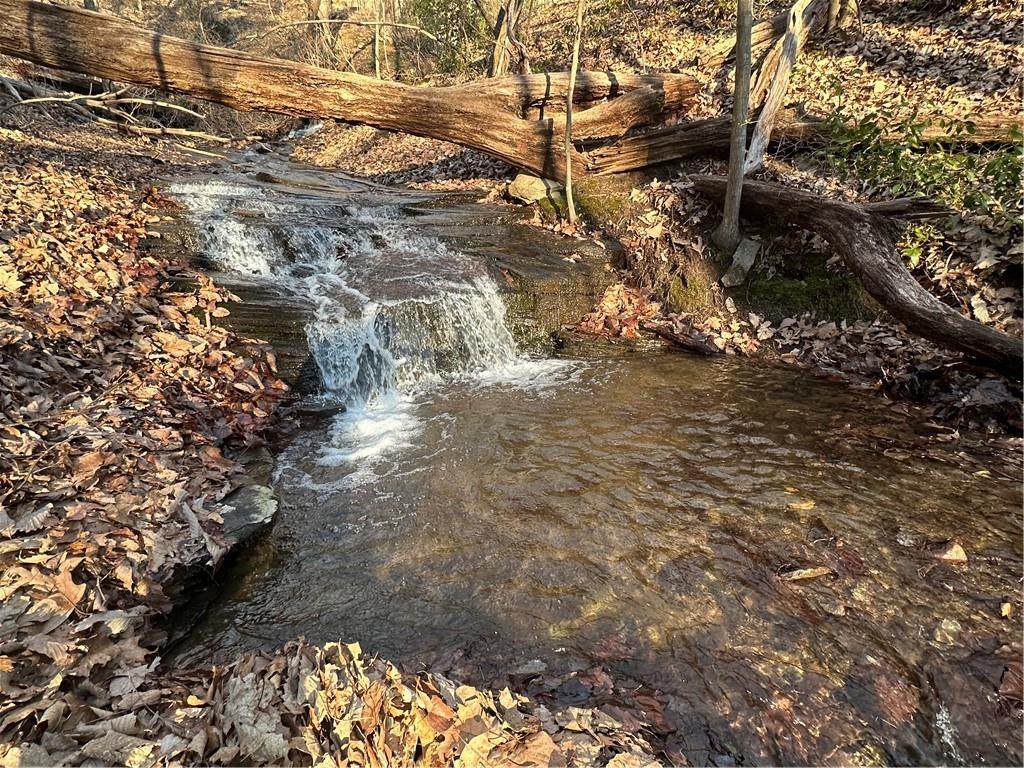 1649 Moss Patch Trail - Photo 1