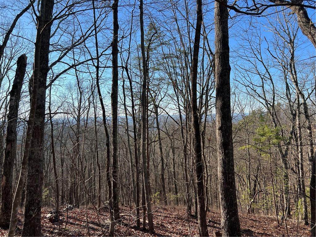 197 Stirratt Road - Photo 1