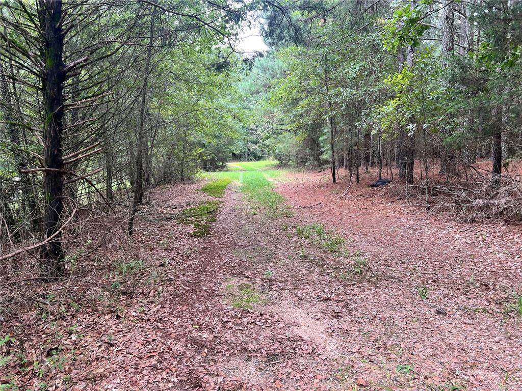 1383 Sims Road - Photo 1