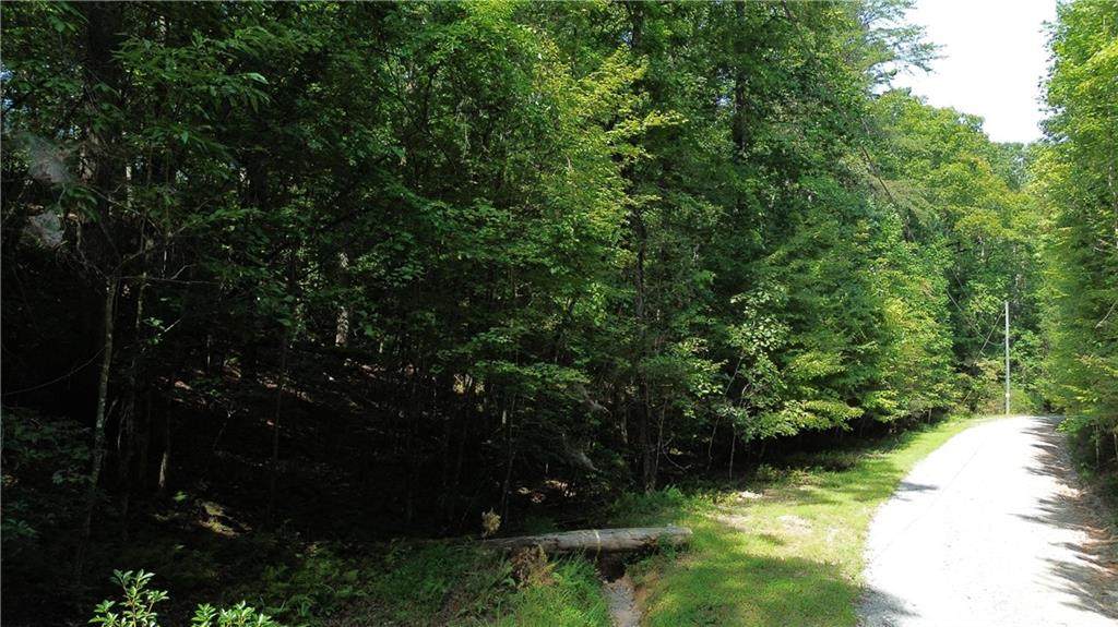 0 Bearden Road - Photo 1
