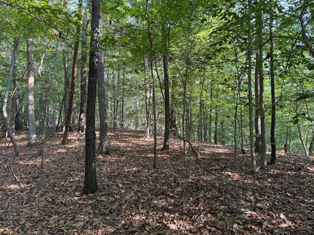 0 Jesse Martin Trail - Photo 1