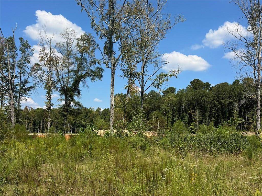 2960 Macland Road - Photo 1