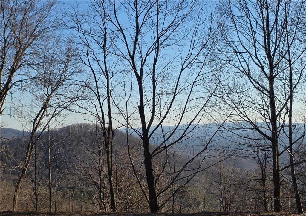 0 Big Creek Road - Photo 1