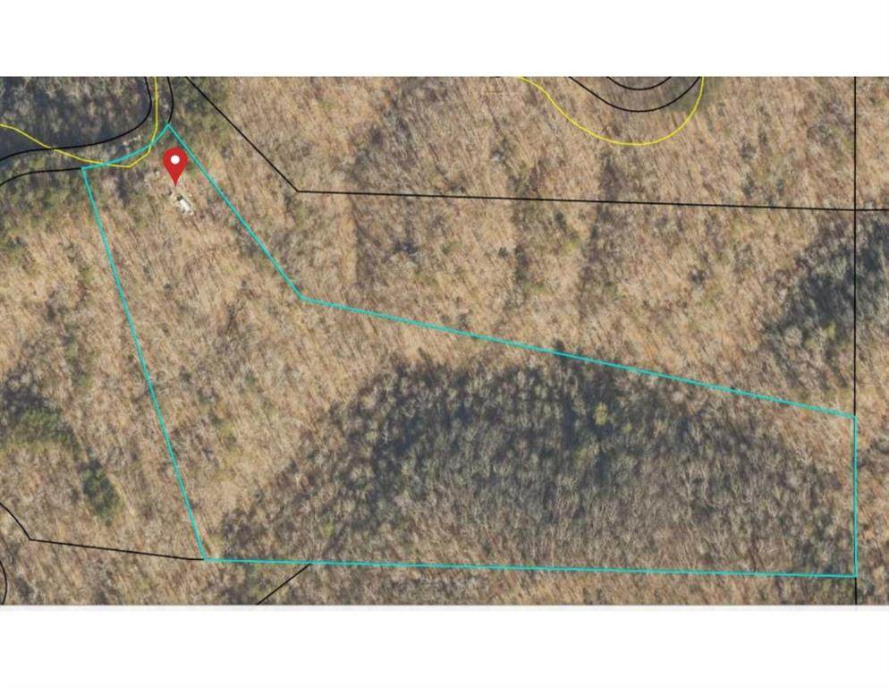 1251 Rambling Road - Photo 1