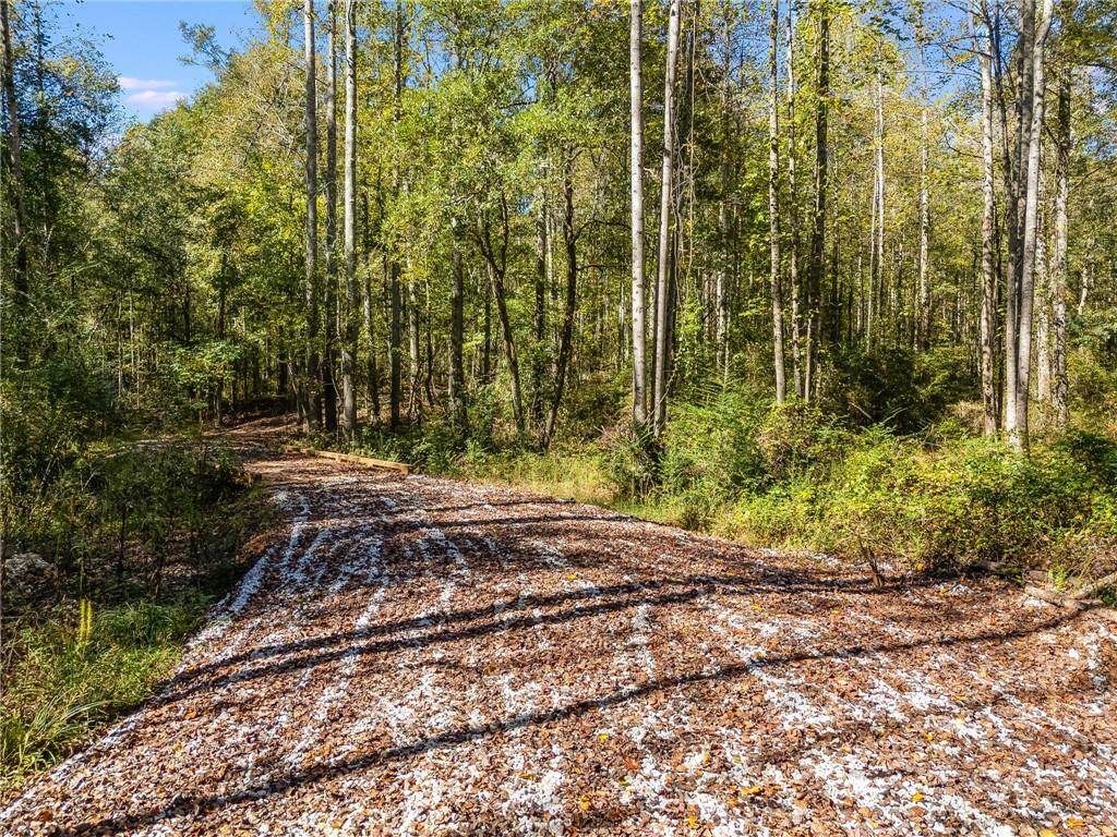 0000 Hog Liver Road - Photo 1