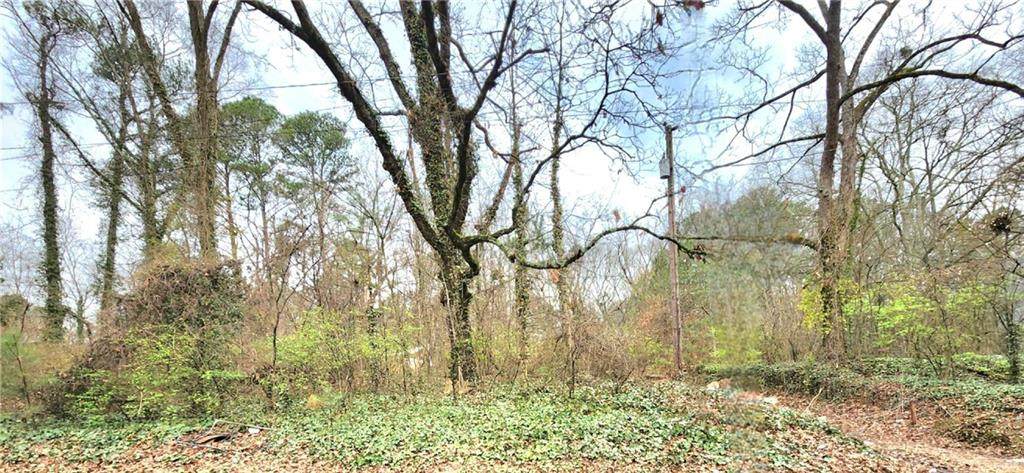 0 Jonesboro Road - Photo 1