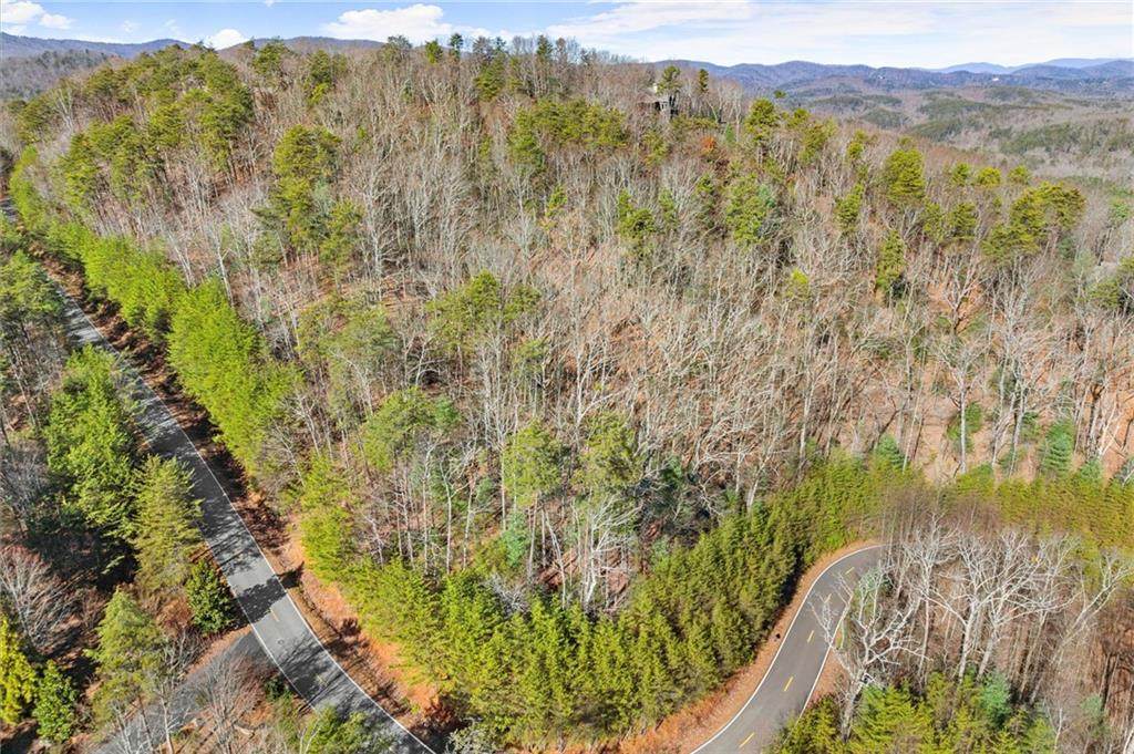 1001 Black Bear Trail - Photo 1
