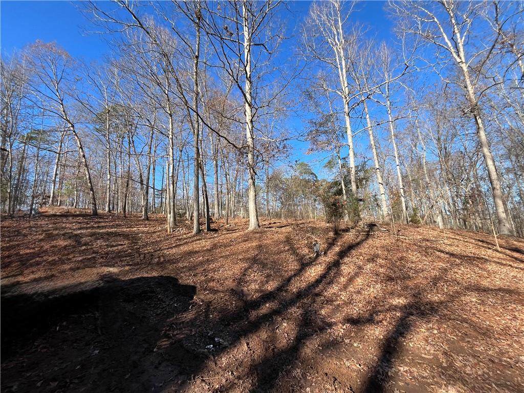 857 Laurel Lane - Photo 1