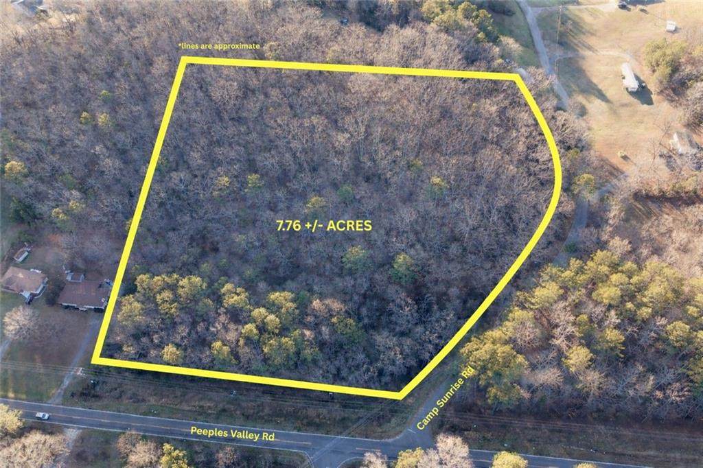 0 Peeples Valley Road - Photo 1