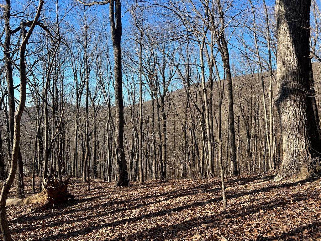 0 Sassafras Court - Photo 1