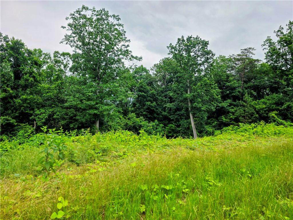 TBD Cowart Mountain Tract 2 Road - Photo 1