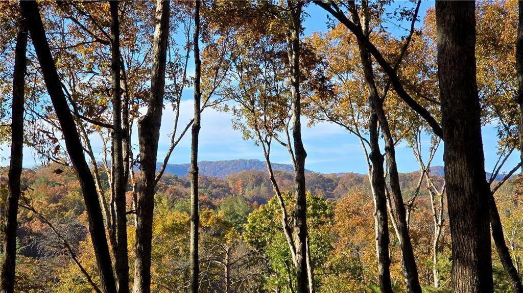 LOT 5 Gold Ridge Trail - Photo 1