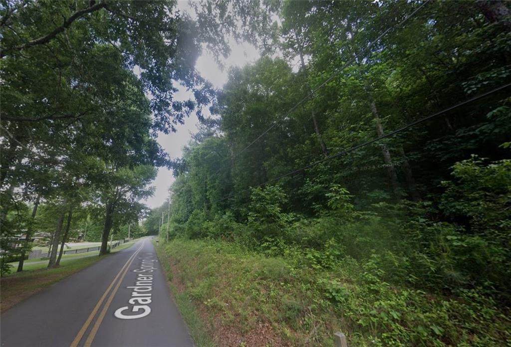 0 Gardner Springs Road - Photo 1