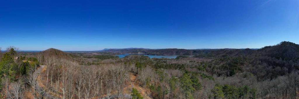 278 Carters Overlook Drive - Photo 1