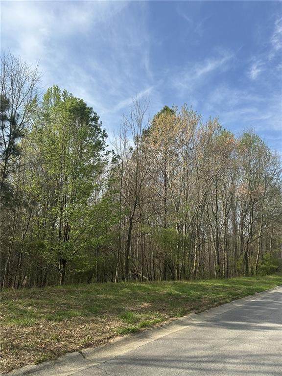 3462 Roy Parks Rd - Photo 1