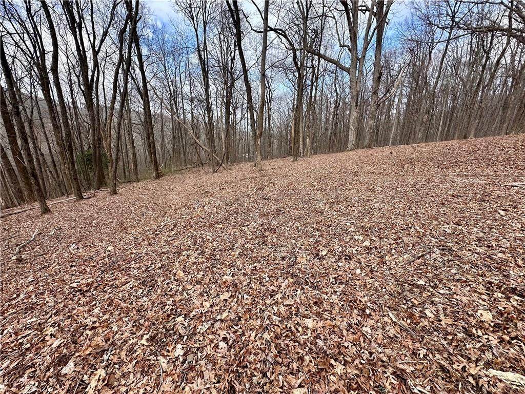 46 Highlands Parkway - Photo 1