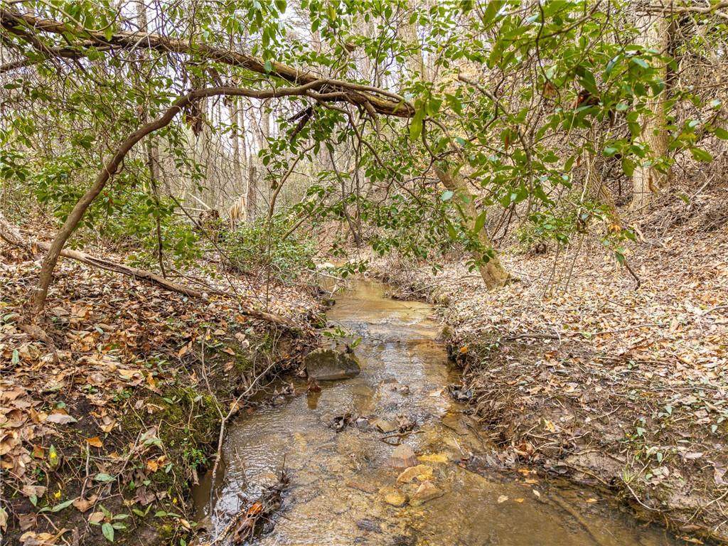 LT 167 Henderson Mountain Road - Photo 1