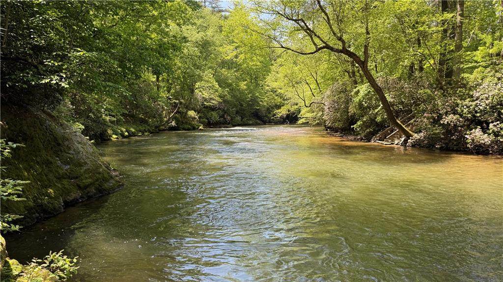 858 River Forest Run - Photo 1