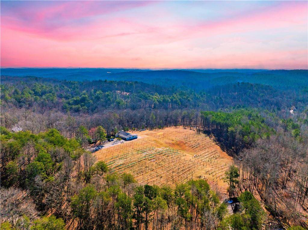 110 Rathgeb Trail - Photo 1