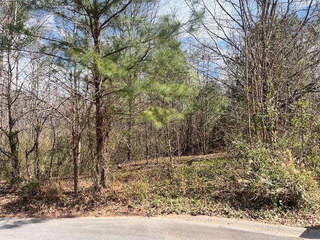 78 Heights Hollow - Photo 1