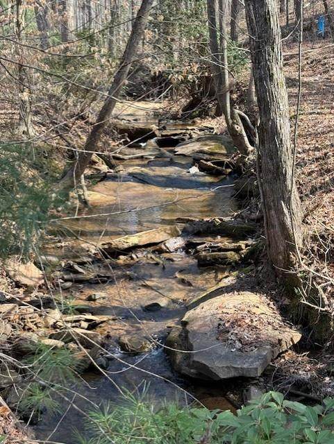 0 Timberline Trail - Photo 1