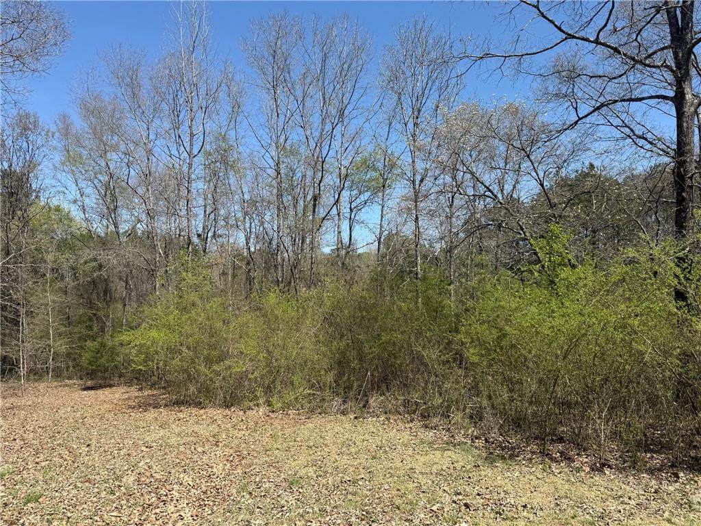 78 Mullinax Road - Photo 1