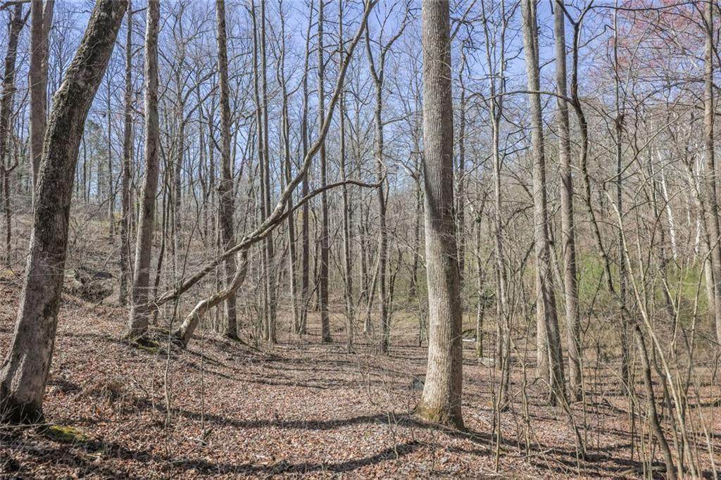 Lot 62 Cherokee Wood Hollow Dr - Photo 1