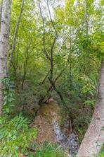 4033 Hidden Hollow Drive - Photo 2