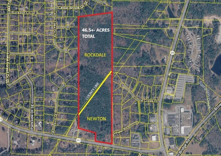 7188 Highway 212 - Photo 1