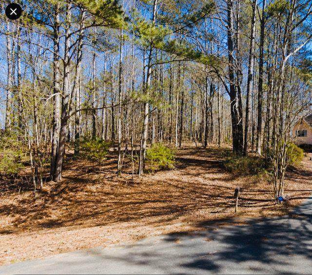 110 Bunnie Trail - Photo 1