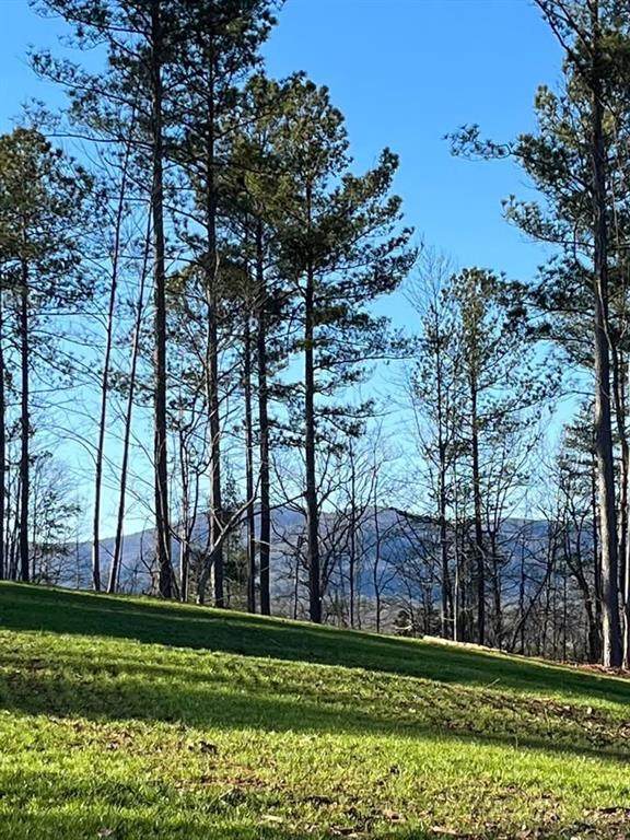 6480 Highway 52 - Photo 1