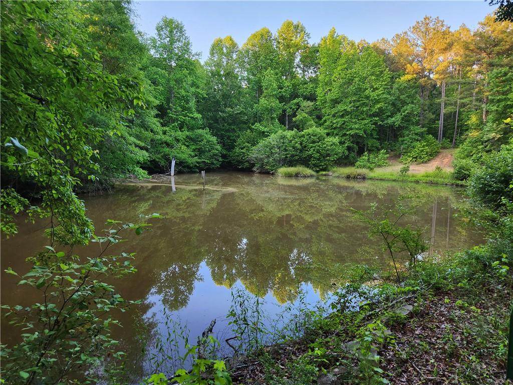 840 Amelia Road - Photo 1