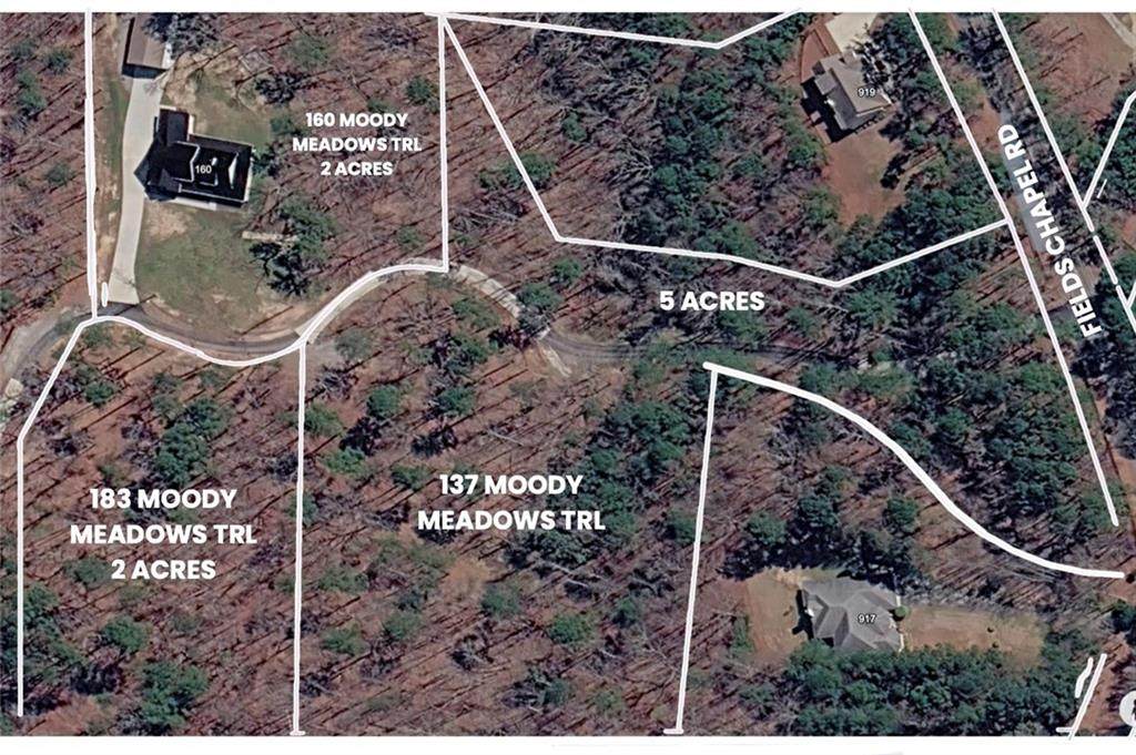 183 Moody Meadows Trail - Photo 1