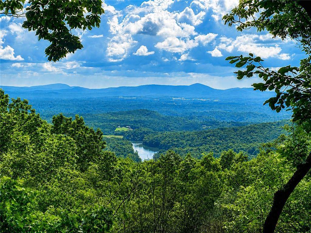 300 Sassafras Mountain Trail - Photo 1