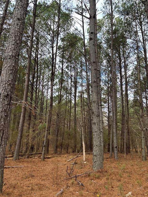556 Benton Road - Photo 1