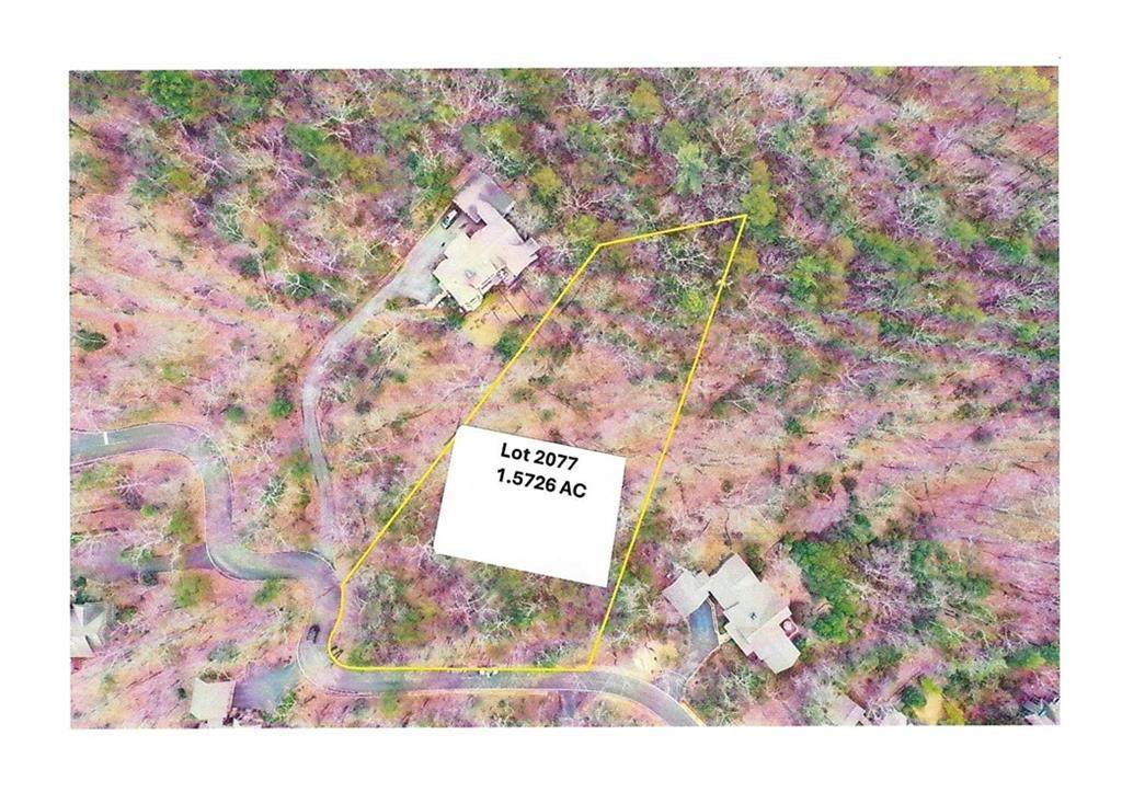 1183 Mcelroy Mountain Drive - Photo 1