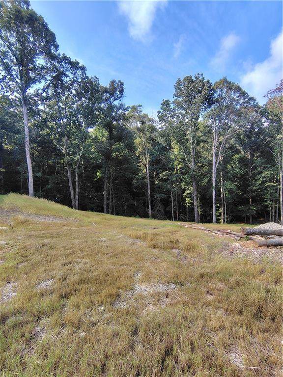 245 Brad St - Photo 1