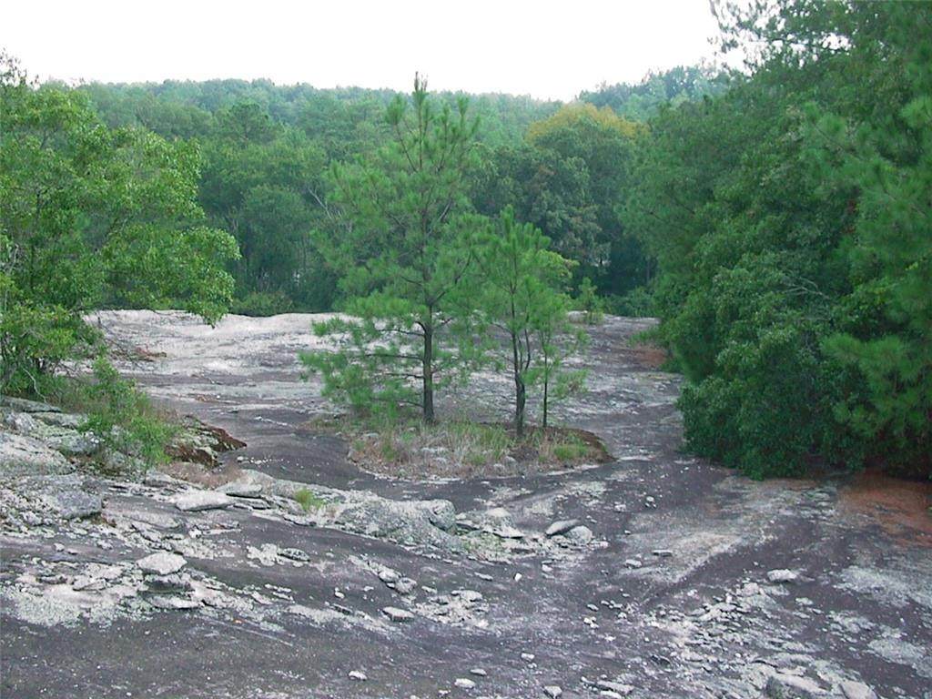 0000 Rabbit Farm Road - Photo 1
