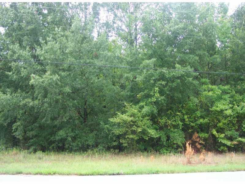 1388 Hwy 124 - Photo 1