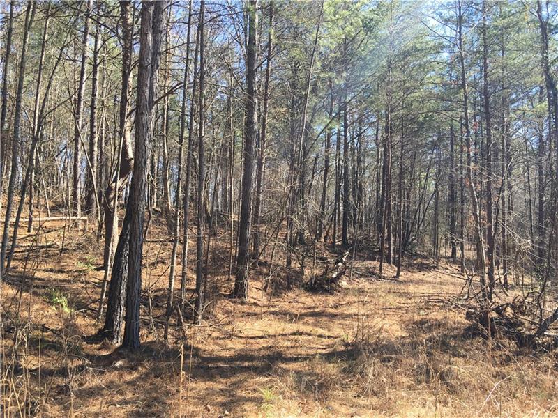 35 Ac Whitfield Lane - Photo 1