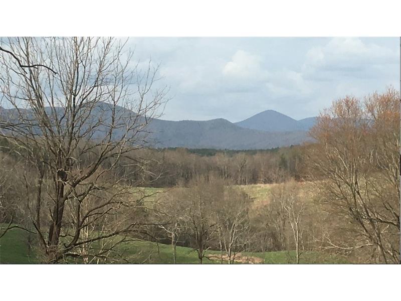 498 Hightower Church Road, Dahlonega, GA 30533 (MLS #5670004) :: North Atlanta Home Team
