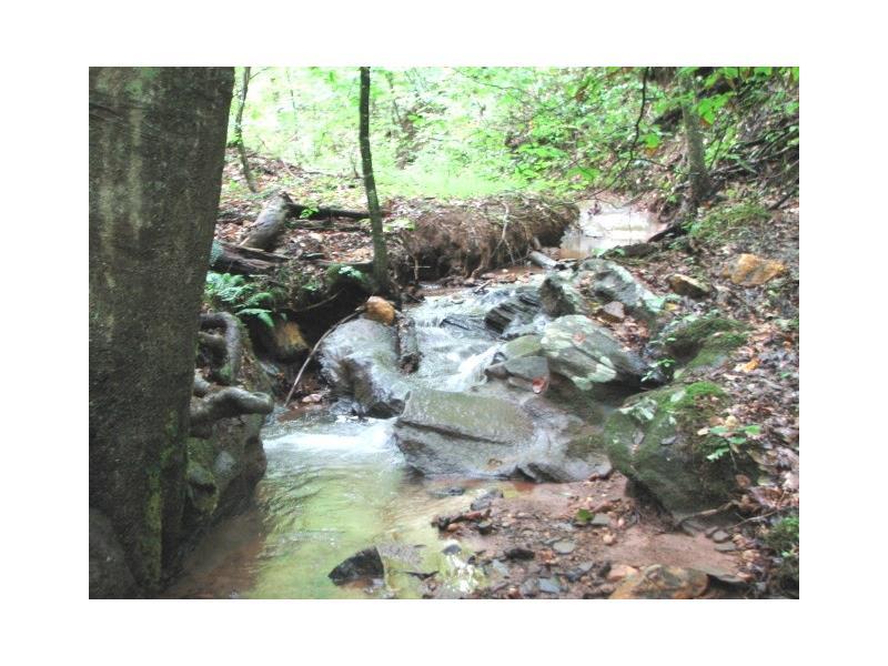 0 Falling Pines Road - Photo 1