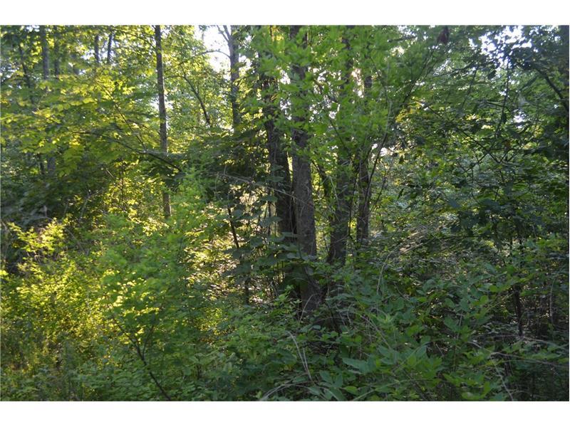 4.4 Ac Mountain Laurel Road - Photo 1