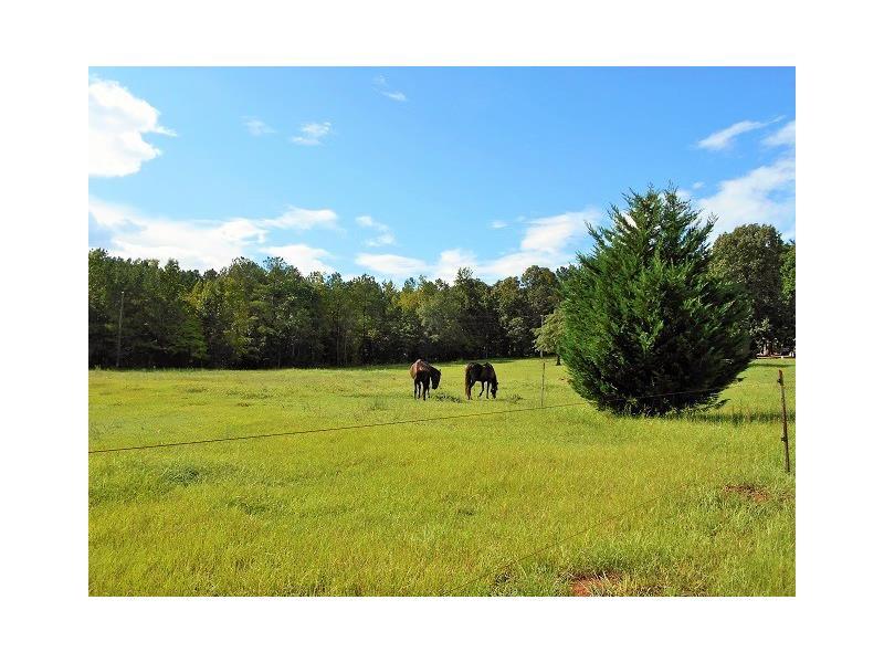 2230 Bethany Church Road, Greensboro, GA 30642 (MLS #5737713) :: North Atlanta Home Team
