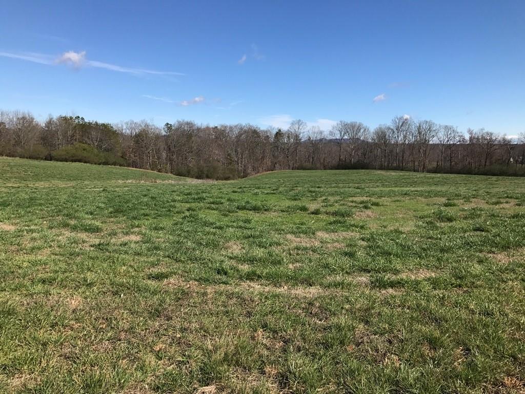 4716 Mt Vernon Road - Photo 1